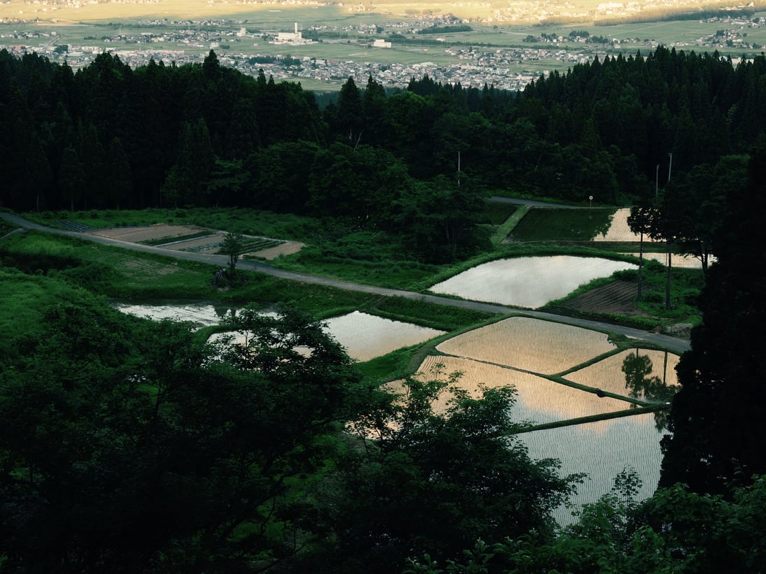 ricefield/Minamiuonuma,Niigata